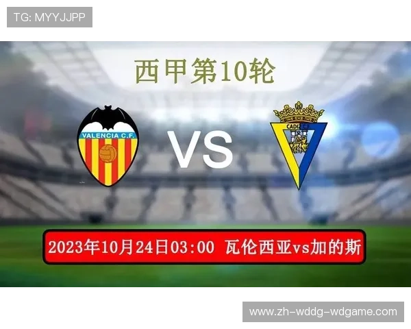 西甲联赛比赛直播回放:西甲联赛比赛直播回放的观看方式